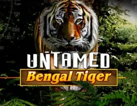 Untamed-Bengal-Tiger.png